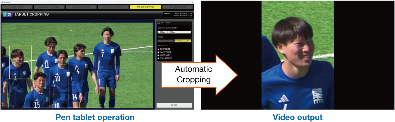Auto cropping